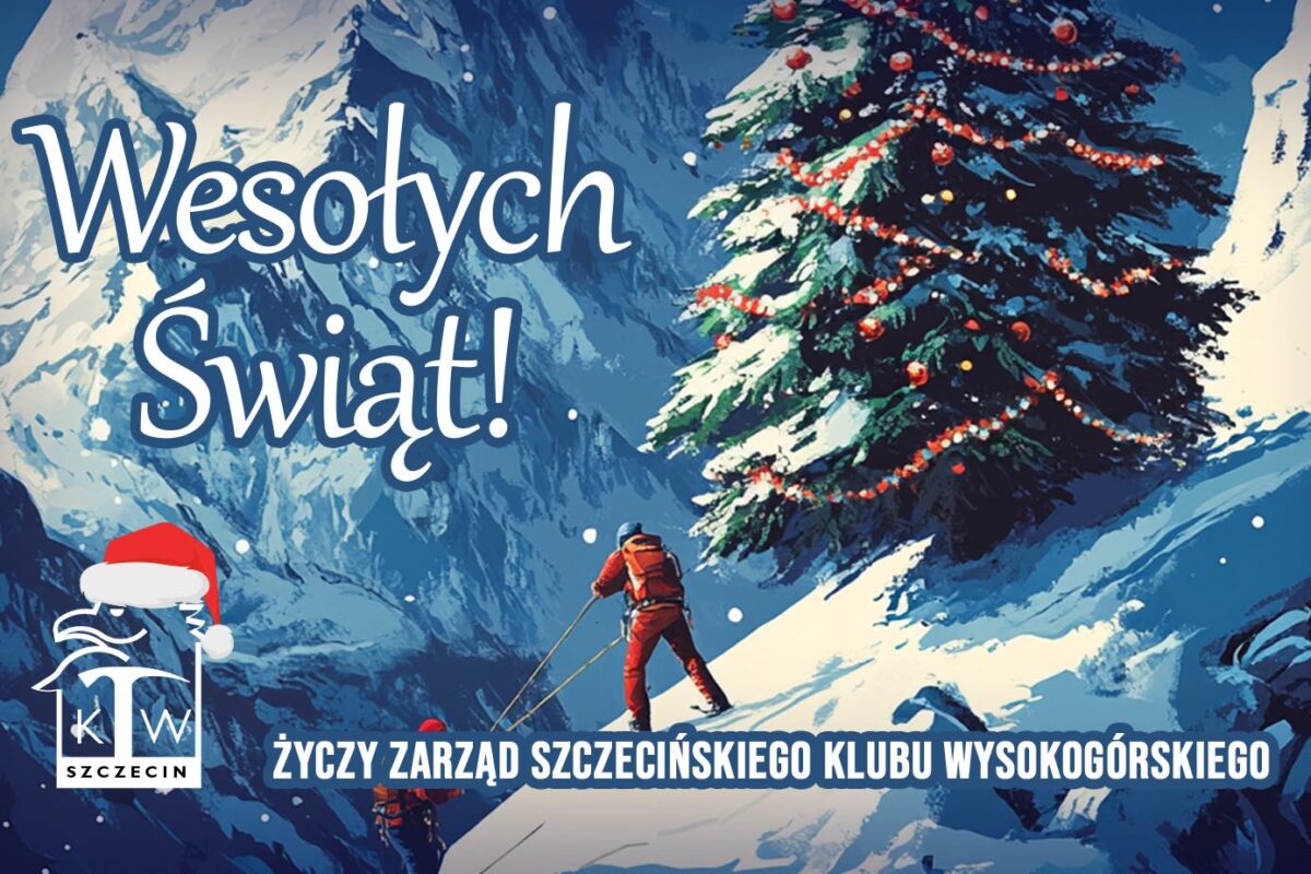 Wesołych Świąt! 🌟